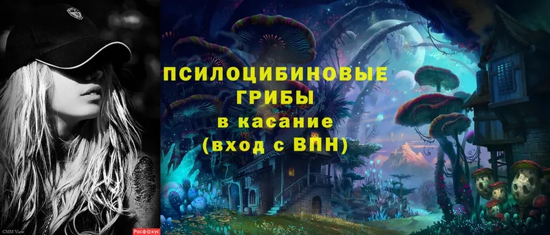 Псилоцибиновые грибы MAGIC MUSHROOMS  Дубовка 